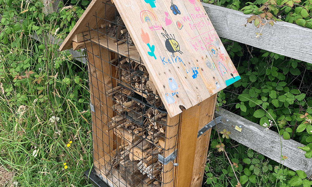 A bee hotel